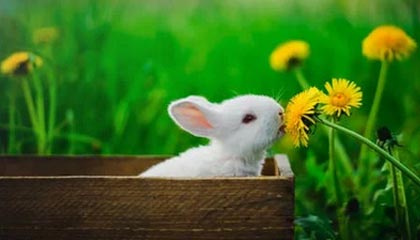 爱游戏体育_ 丁俊晖领衔的斯诺克赛季巡回赛即将开启，斯诺克巡回锦标赛丁俊晖