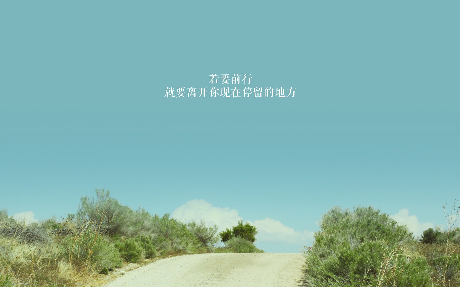 国际足球裁判员培训逐步规范，提升判罚国际竞争力，足球国际裁判收入