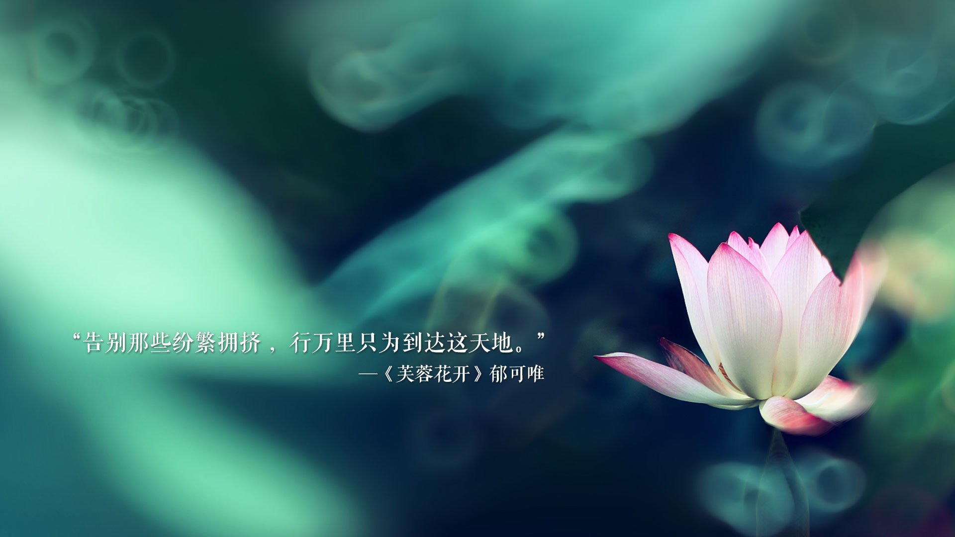 RNG制定赛场选手行为评分系统，rng表现