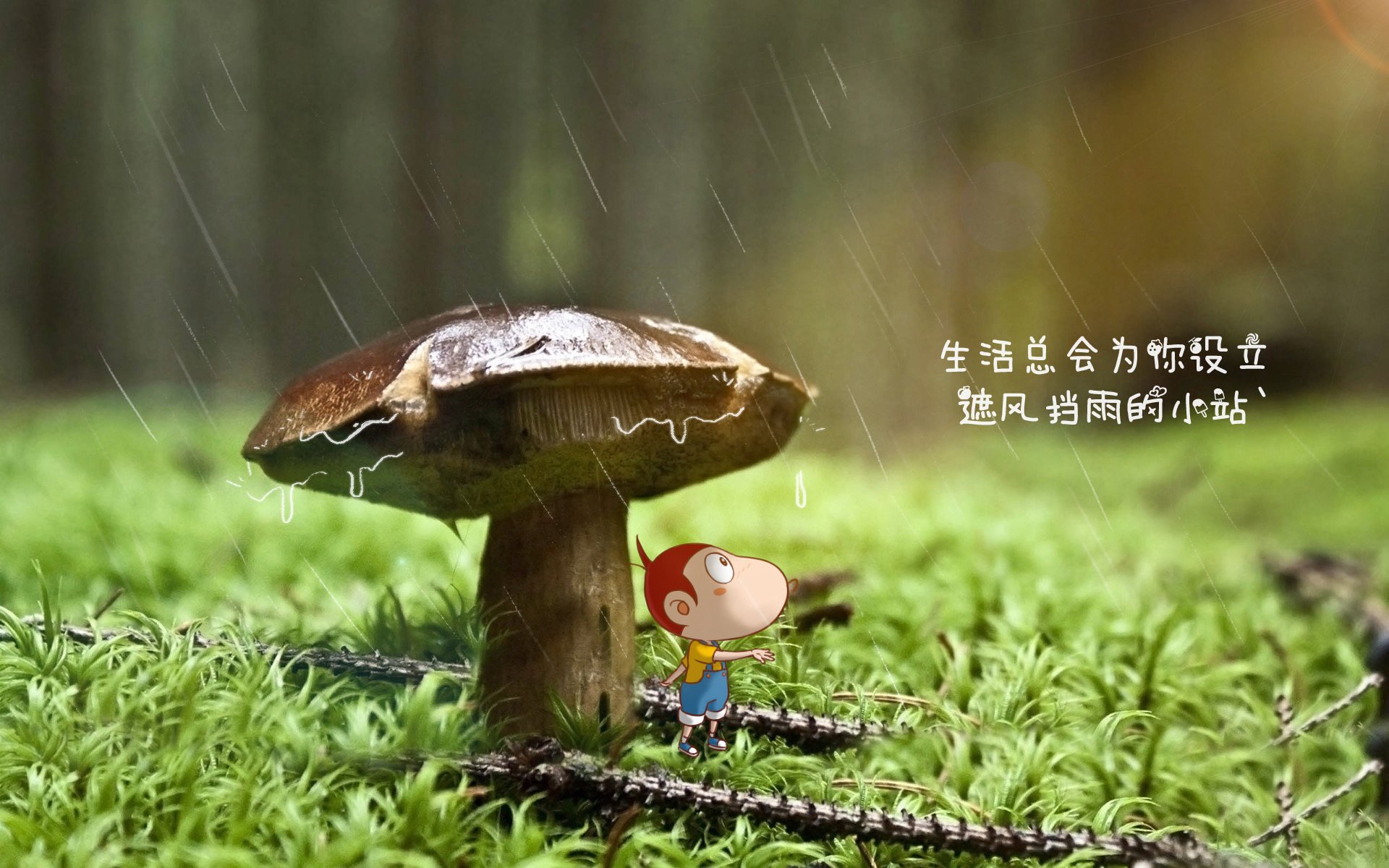 中国足球人才培养体系日臻完善，中国足球人才选拔