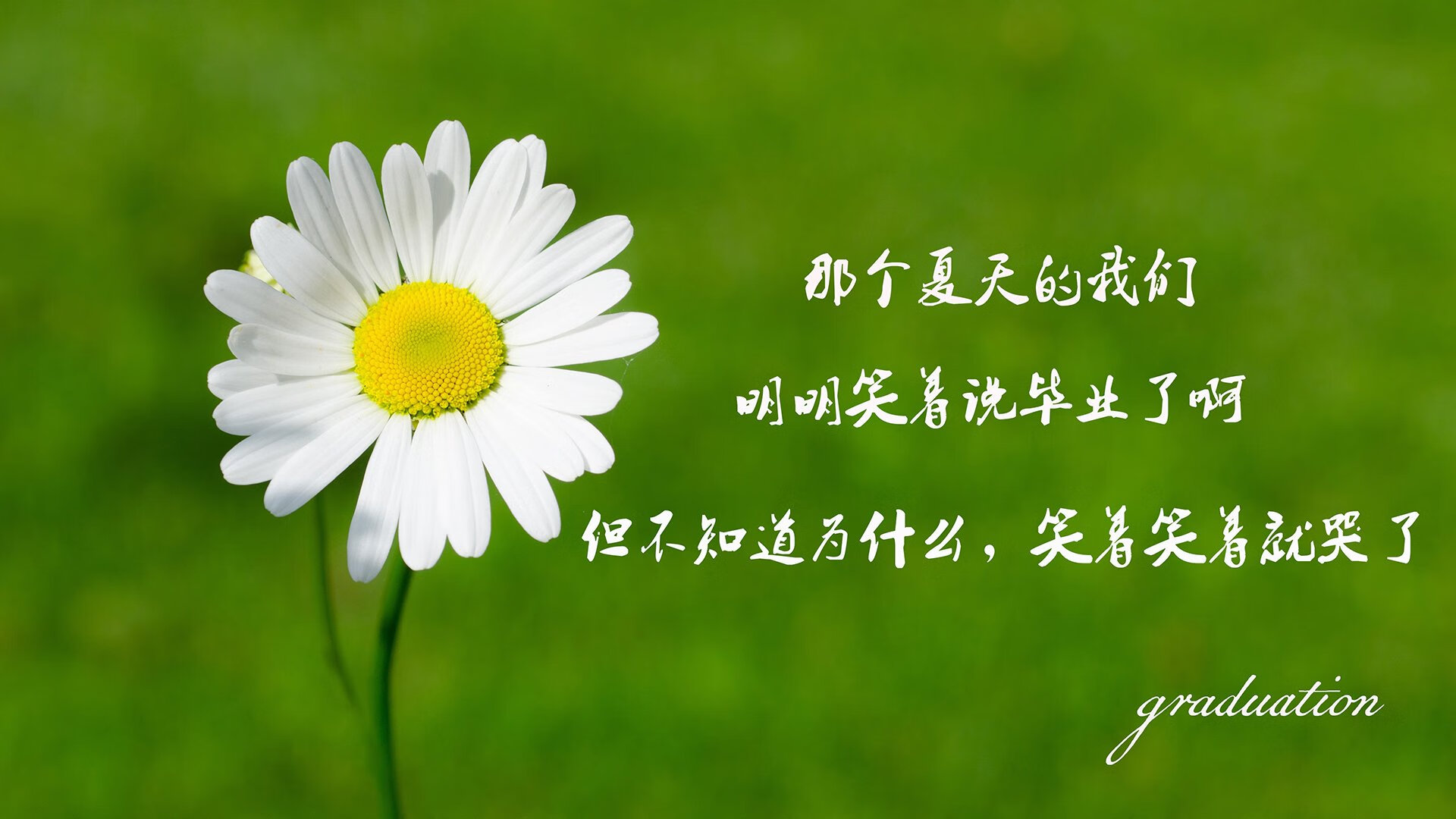 摩洛哥队青训体系初见成效，摩洛哥队服
