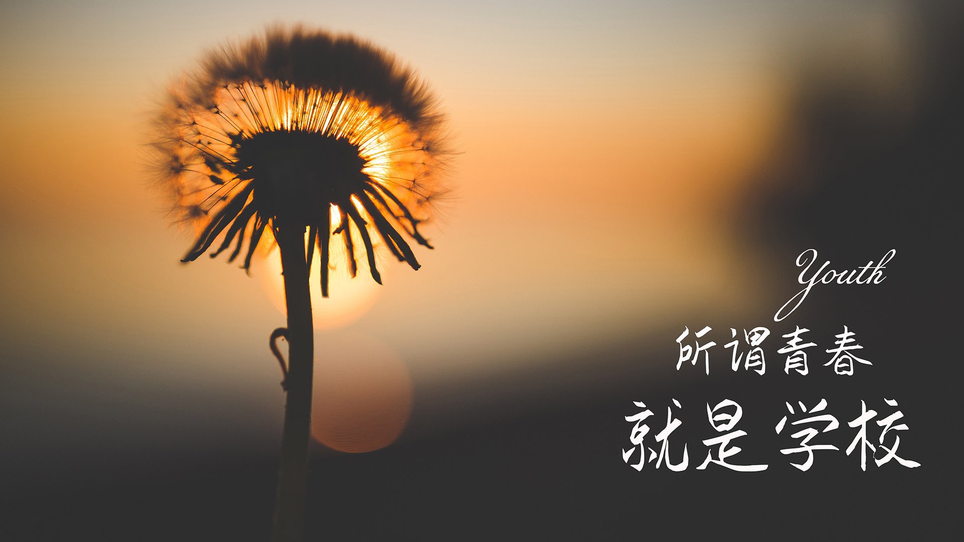 马拉维女篮在非洲锦标赛中夺冠，体育运动逐步崛起，南非女足对马拉维女足